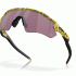 Oakley 2023 Tour De France™ Radar® EV Path® OO9208 9208E8