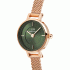 Daniel Wellington Petite Mini Emerald Melrose DW00100742